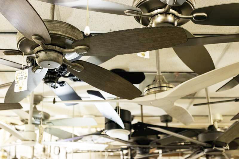 Ceiling Fans — Wholesale Lighting Daytona showroom