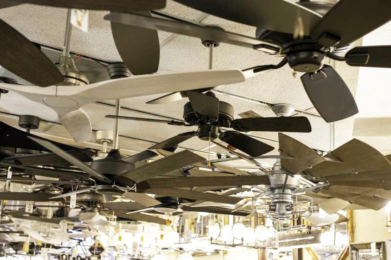 Ceiling Fans — Wholesale Lighting Daytona showroom