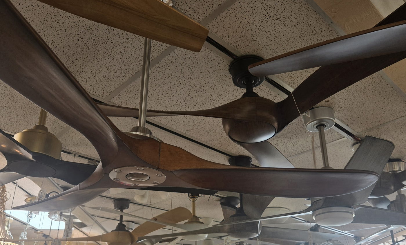 Wood-blade ceiling fans across the fan wall at Wholesale Lighting in Daytona Beach